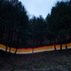 El interior de este bosque de Iitate no ha sido descontaminado. Imagen: Greg McNevin / Greenpeace
